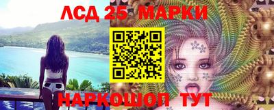 стафф Донской