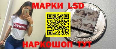 стафф Донской