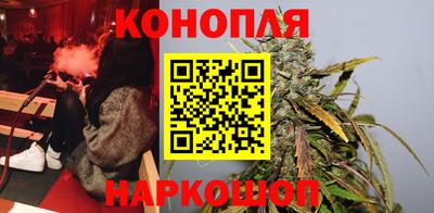 индика Дубна