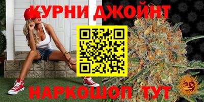 стафф Донской