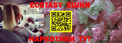 индика Дубна