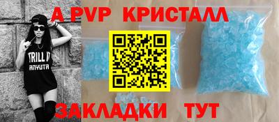 стафф Донской