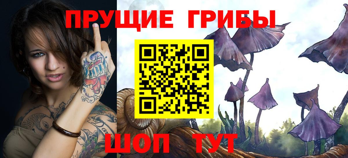 Истра  Галлюциногенные грибы Psilocybe  Вход с VPN 